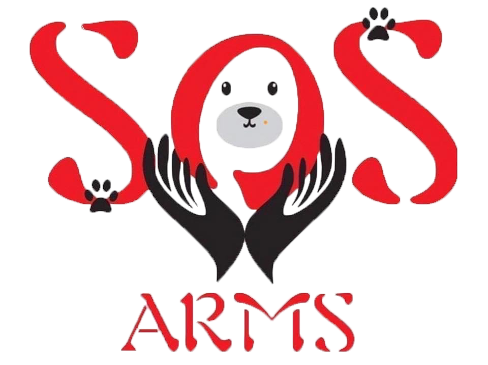 Adoptă și Salvează Vieți – SOS Arms pentru Câini și Pisici Fără Stăpân | Alătură-te cauzei SOS Arms! Adăpostim și îngrijim sute de câini și pisici abandonați în România. Adoptă, sponsorizează sau donează pentru a le oferi o a doua șansă la o viață mai bună!